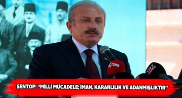 Başkan Şentop Sivas Kongresi 102. yılı anma etkinliklerinde konuştu