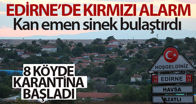 Edirne’de kırmızı alarm: Kan emen sinek bulaştırdı, 8 köyde ‘mavi dil’ karantinası başlatıldı