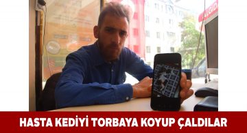 Sivas’ta kağıt toplayıcı iki kişi yavru kediyi çaldı