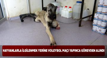 Sivas Belediyesi tepki çeken görüntülere kayıtsız kalmadı