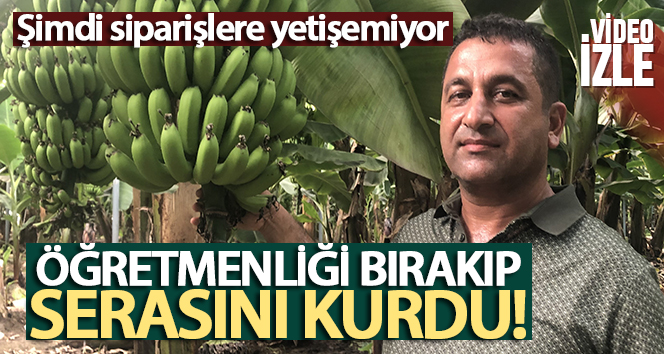 Öğretmenliği bırakıp muz serası kuran Aykut Oran şimdi siparişlere yetişemiyor