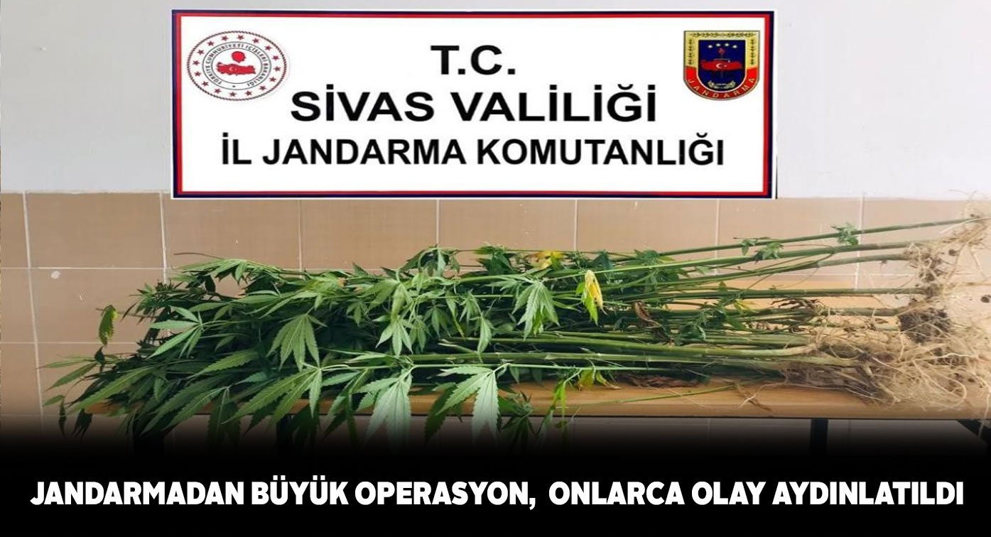 Jandarma birimleri birçok olayı aydınlatmaya devam ediyor