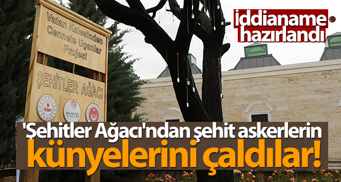 ‘Şehitler Ağacı’ndan şehit askerlerin künyelerini çaldılar