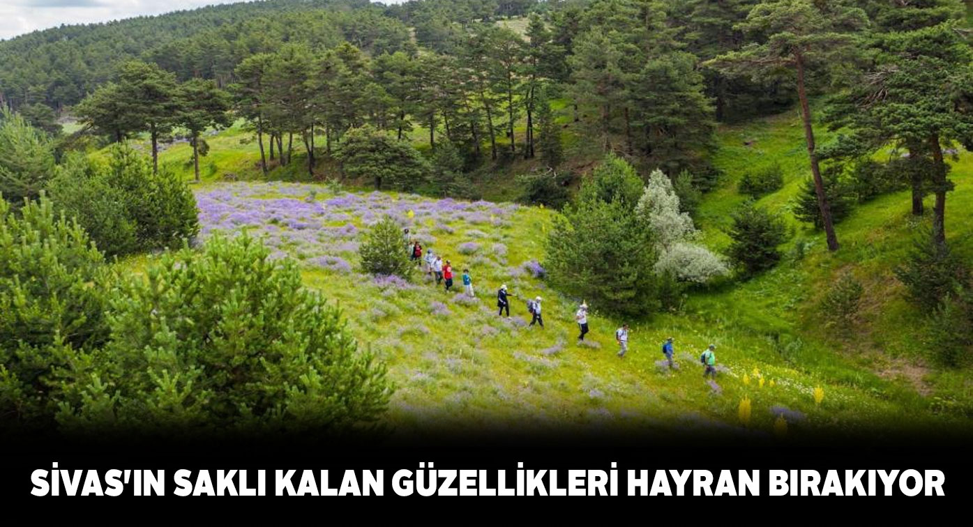 Sivas’ın muhteşem ormanlık alanları vatandaşları büyülüyor
