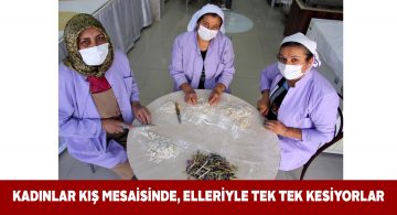 Sivaslı kadınlar kış hazırlıkları için çalışmalara başladı