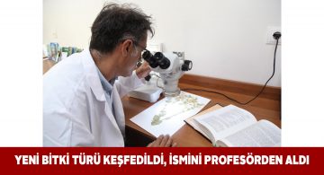 Sivas’ta keşfedilen yeni bitkiye “Ferulago Akpulatii” adı verildi