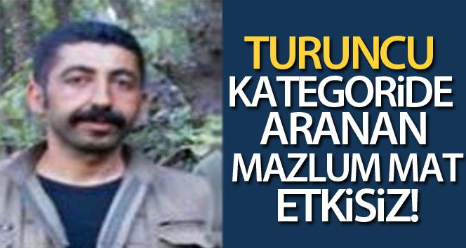 Turuncu kategoride aranan Mazlum Mat etkisiz hale getirildi
