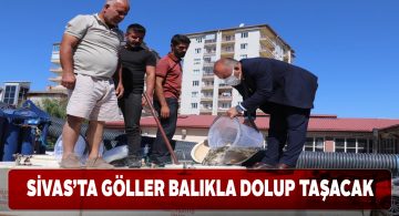 Sivas’taki 30 göle 670 bin sazan yavrusu bırakıldı
