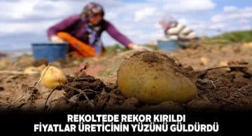 Bu yılki patates rekoltesi üreticiyi mutlu etti
