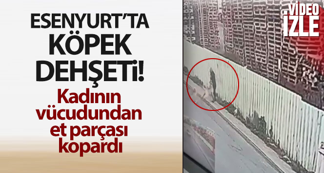 Esenyurt’ta köpek dehşeti kamerada: 2 yaralı