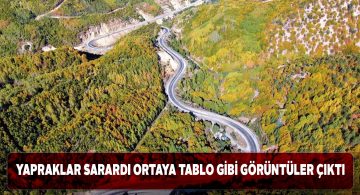 Geminbeli geçidinde sonbaharla birlikte renk cümbüşü başladı