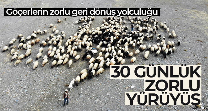 Göçerlerin zorlu geri dönüş yolculuğu başladı