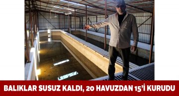 Kuraklık Sivas’ta üretilen balıkları da vurdu