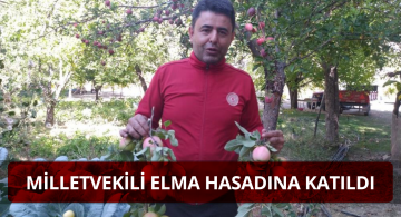 Elma Hasadı Milletvekilinden
