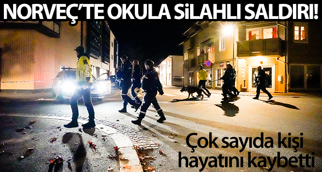 Norveç’te okula silahlı saldırı!
