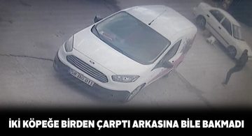 Oto sanayi sitesinin maskot köpeğine otomobil çarptı