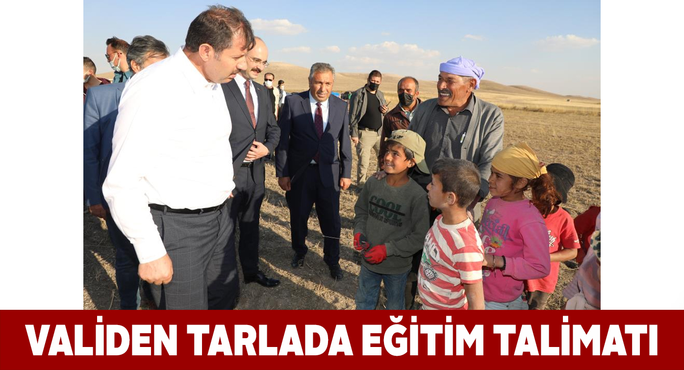 Vali Ayhan patates hasadı programına katıldı
