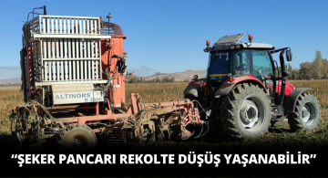 Ulaş İlçesi Şeker Pancarı Hasadı Başladı!