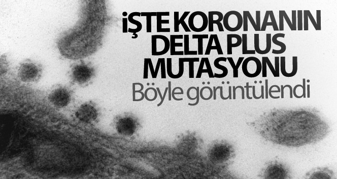 Rusya’da korona virüsün Delta Plus mutasyonu görüntülendi