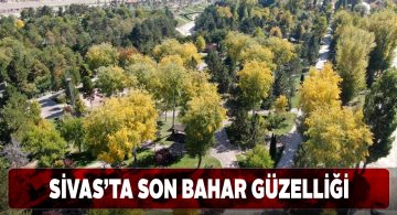 Paşabahçe mesire alanında sonbaharla gelen görsel şölen