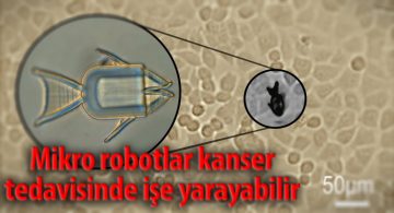 Mikro Robotlar Kanser Tedavisine Umut Oldu