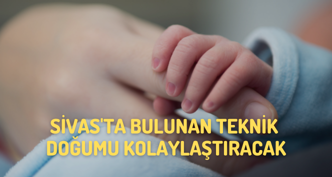 Sivas’ta Bulunan Teknik Dünyaya Örnek Oldu