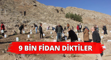 Sivas Zara’da 9 Bin Fidan Toprakla Buluştu!