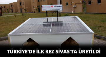 Bu Çalışma Sokak Hayvanları İçin Umut Oldu