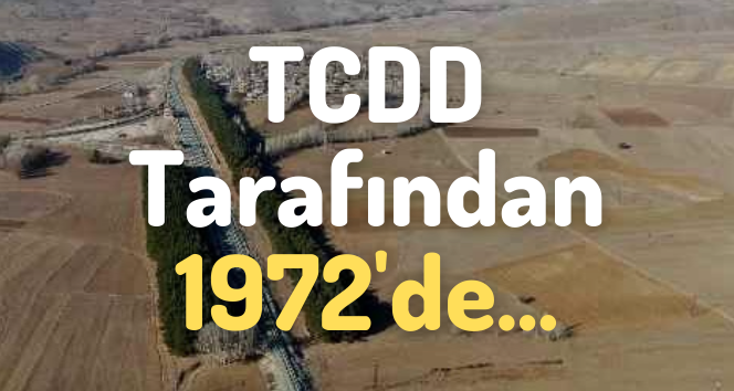 1972’den Günümüze: Ağaçlı Yol Sivaslıların İlgisini Çekiyor