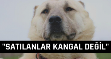 Binlerce Liraya Satılıyor Ama ‘Sahte’!