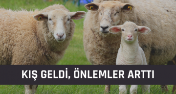 Hava Sıcaklıklarının Düşmesi Çiftçileri Hareketlendirdi