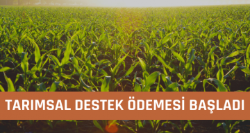 Sivaslı Çiftçiler Tarımsal Destek Ödemelerini Almaya Başlıyor