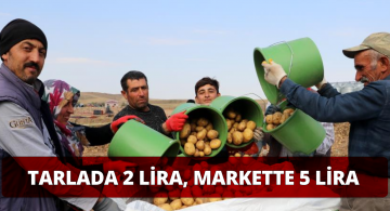 Tarlada 2 Markette 5 TL’ye Satılıyor