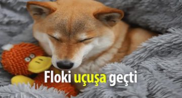 Floki Dev Yatırım Aldı