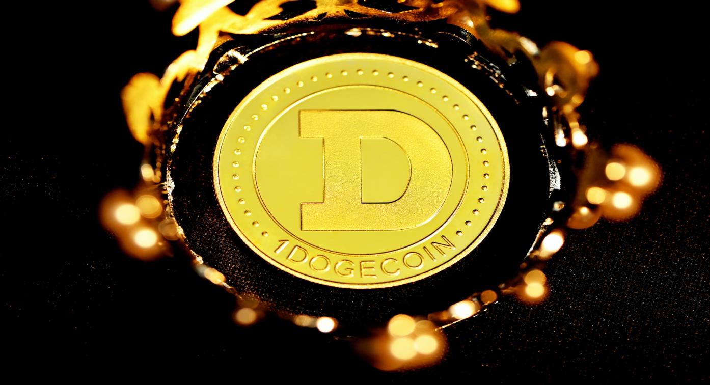 Elon Musk Dogecoin