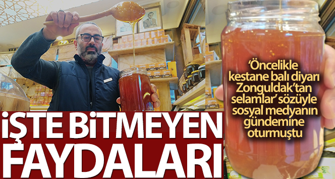 Kestane balı KOAH hastalığına birebir