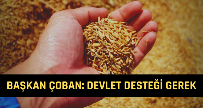 Çoban: Bağ-Kur Prim Borçlarının Yarısını Devlet Ödesin
