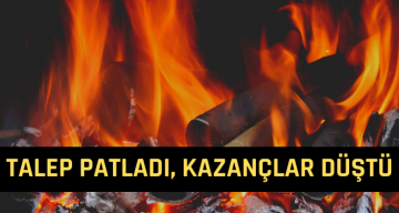 Odun Kömür Satışlarında Büyük Artış