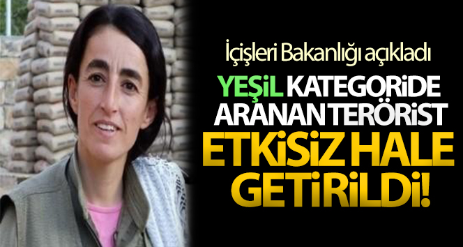 Yeşil kategoride aranan terörist Mardin’de etkisiz hale getirildi