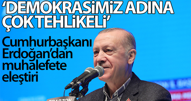 Cumhurbaşkanı Erdoğan’dan önemli demokrasi açıklaması