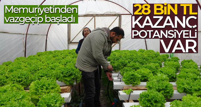 İstanbul’un kalabalığından kaçtı memleketinde topraksız tarıma başladı
