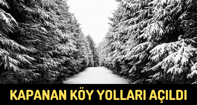 Kapanan Köy Yolları Açıldı, Yetkililerden Önemli Açıklama