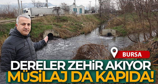 Bursa’da dereler zehir akıyor, bu yıl da müsilaj tehdidi kapıda