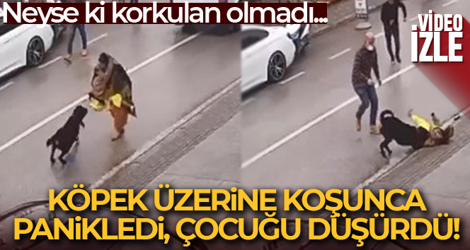 Köpek üzerine doğru koşunca kucağındaki çocuğu düşürdü