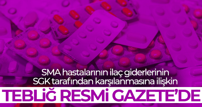 Resmi Gazete’nin mükerrer sayısı yayımlandı