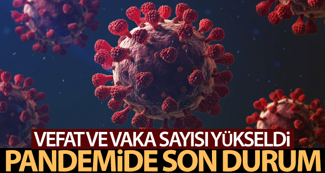 Sağlık Bakanlığı, Türkiye’nin son 24 saatlik korona virüs tablosunu açıkladı