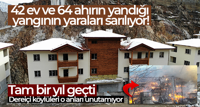 Artvin’in Dereiçi köyünde çıkan yangının üzerinden tam bir yıl geçti
