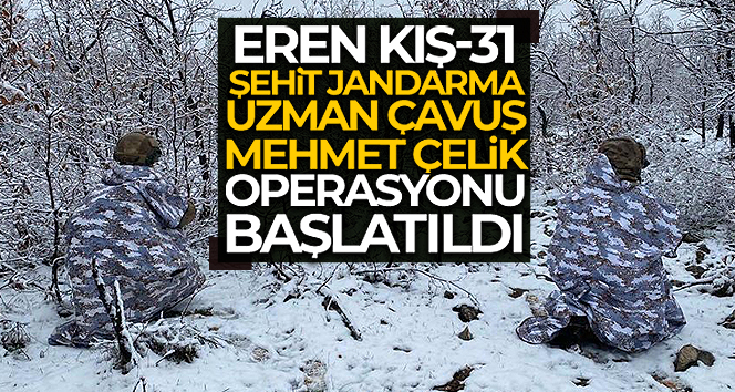 Diyarbakır’da ‘Eren Kış-31 Operasyonu’ başlatıldı