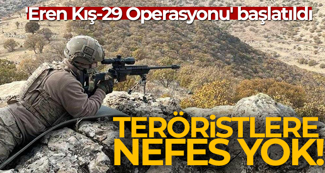 Mardin’de ‘Eren Kış-29 Şehit Jandarma Uzman Onbaşı Hakan Öcalan Operasyonu’ başlatıldı