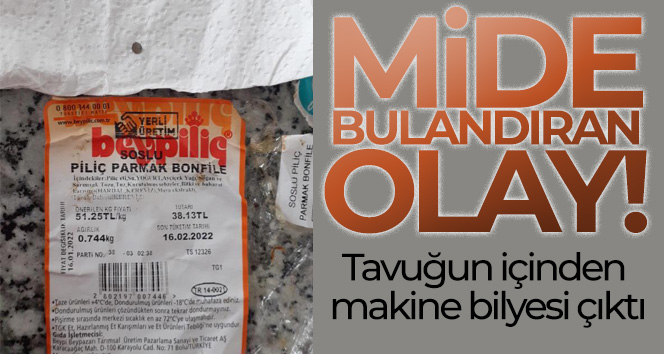 Tavuğun içinden makine bilyesi çıktı